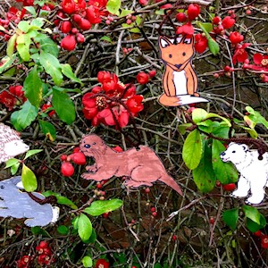 Wild Craft Morning